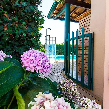 Casa Do Chafariz W/ Swimming Pool Near By Homing וילה